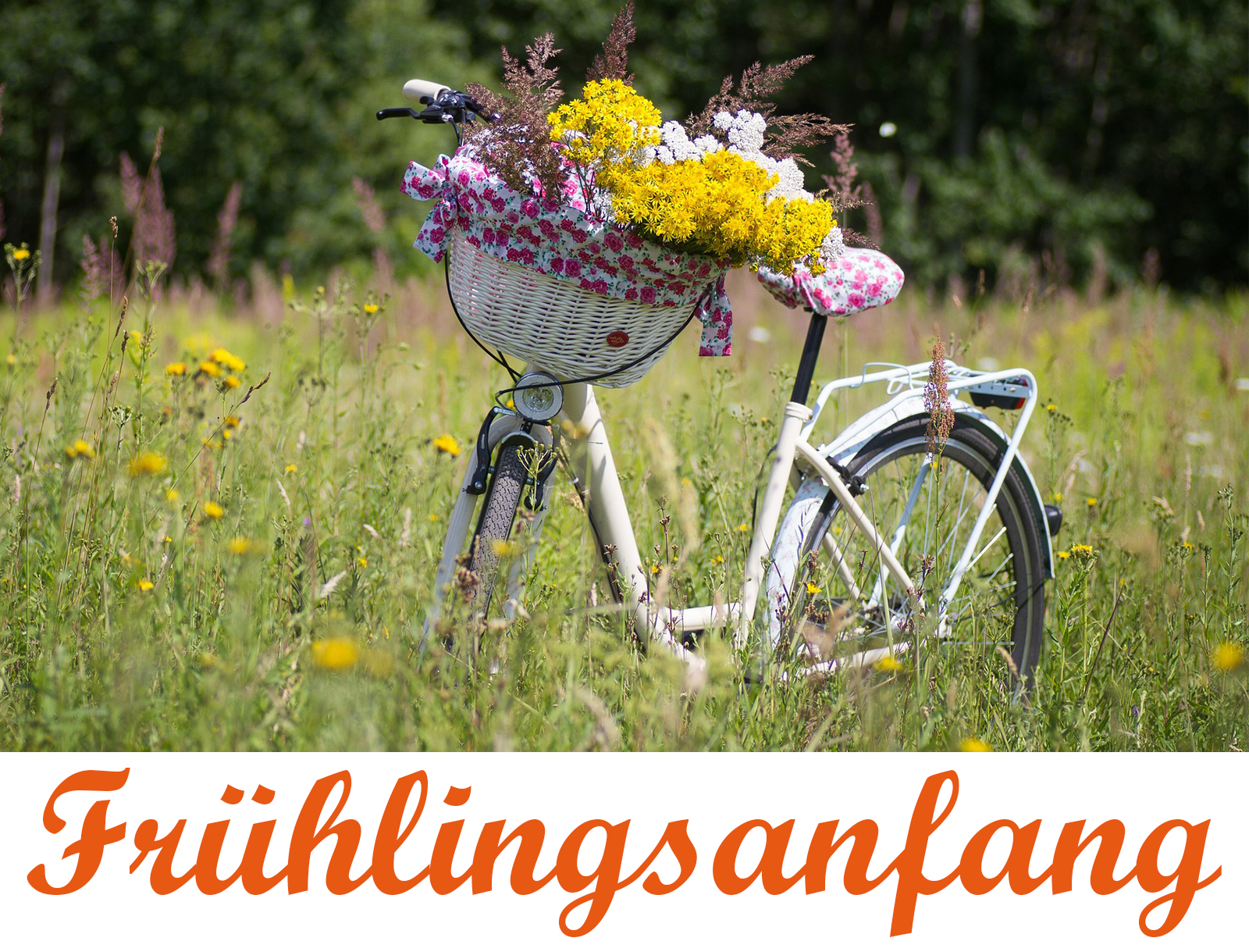 Fahrrad mit Blumen Adenauer & Co